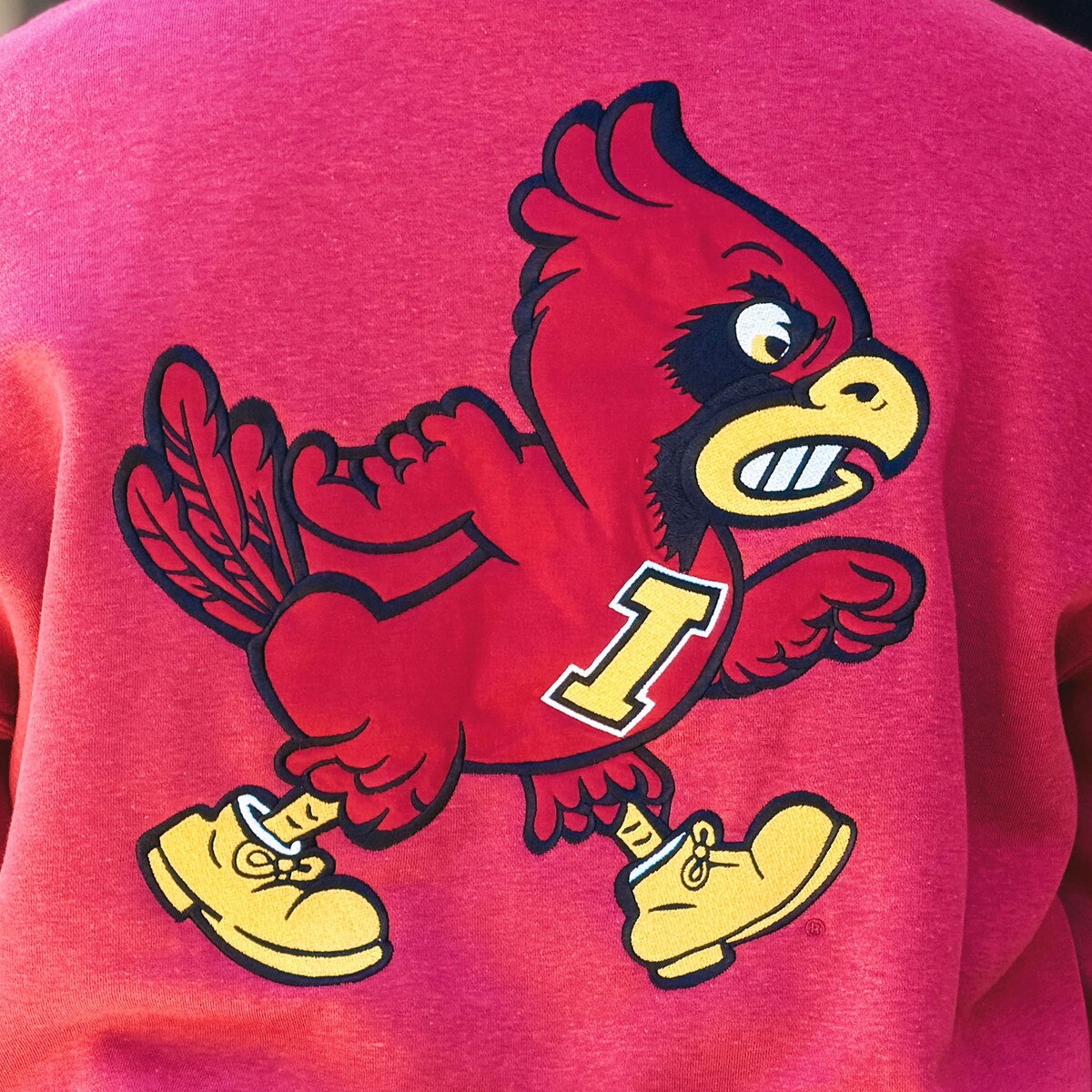 Colosseum Walking Cy Cardinal Rich Vintage Crewneck Sweatshirt back design close up